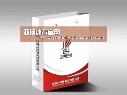 项目名称十三