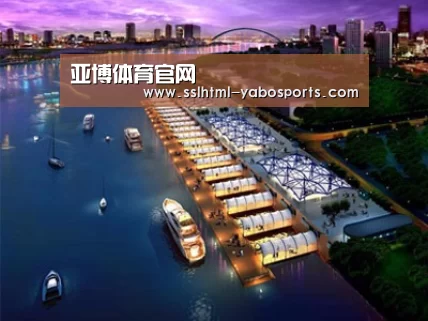 案例展示八