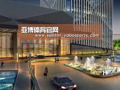 案例展示二