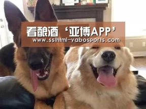 亚博