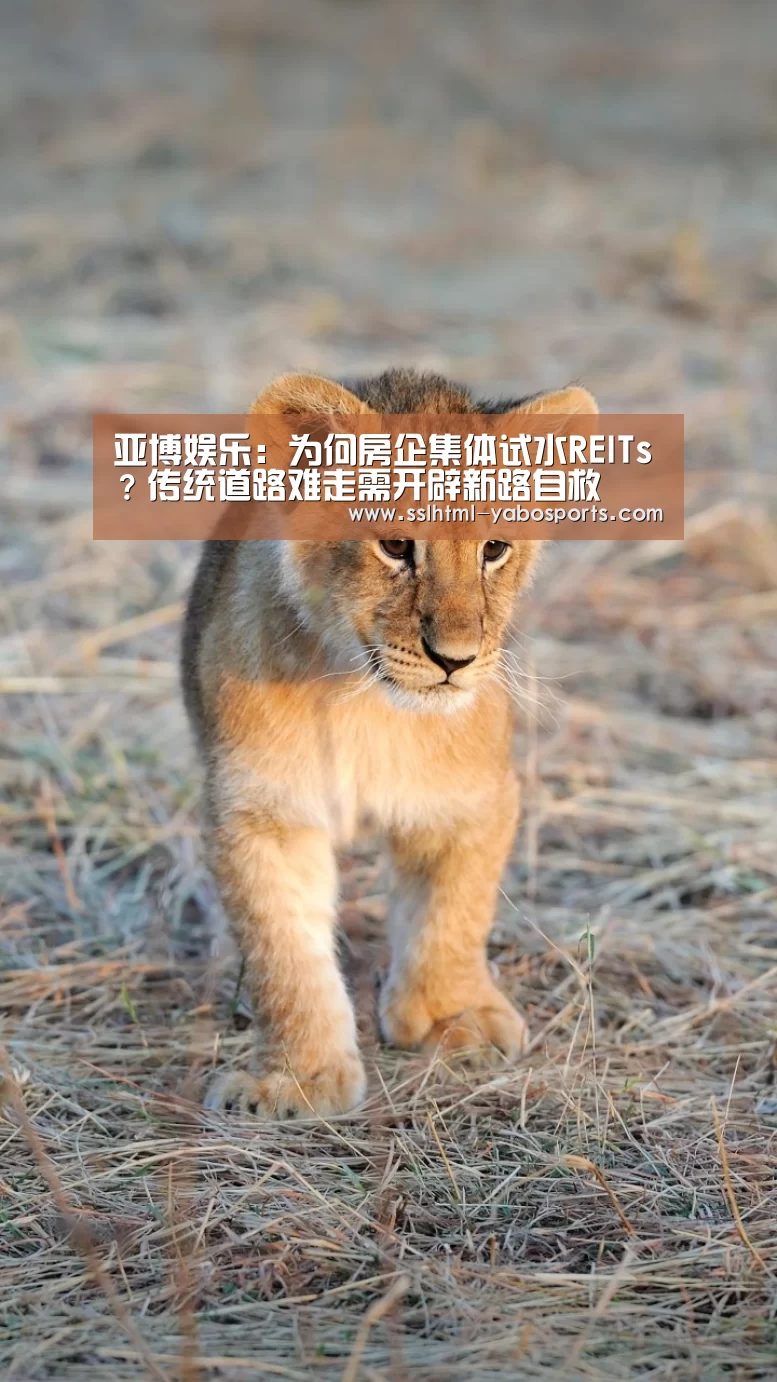 亚博APP