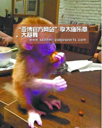 “亚博官方网站”享太庙乐章。大基舞(图3) 亚博APP