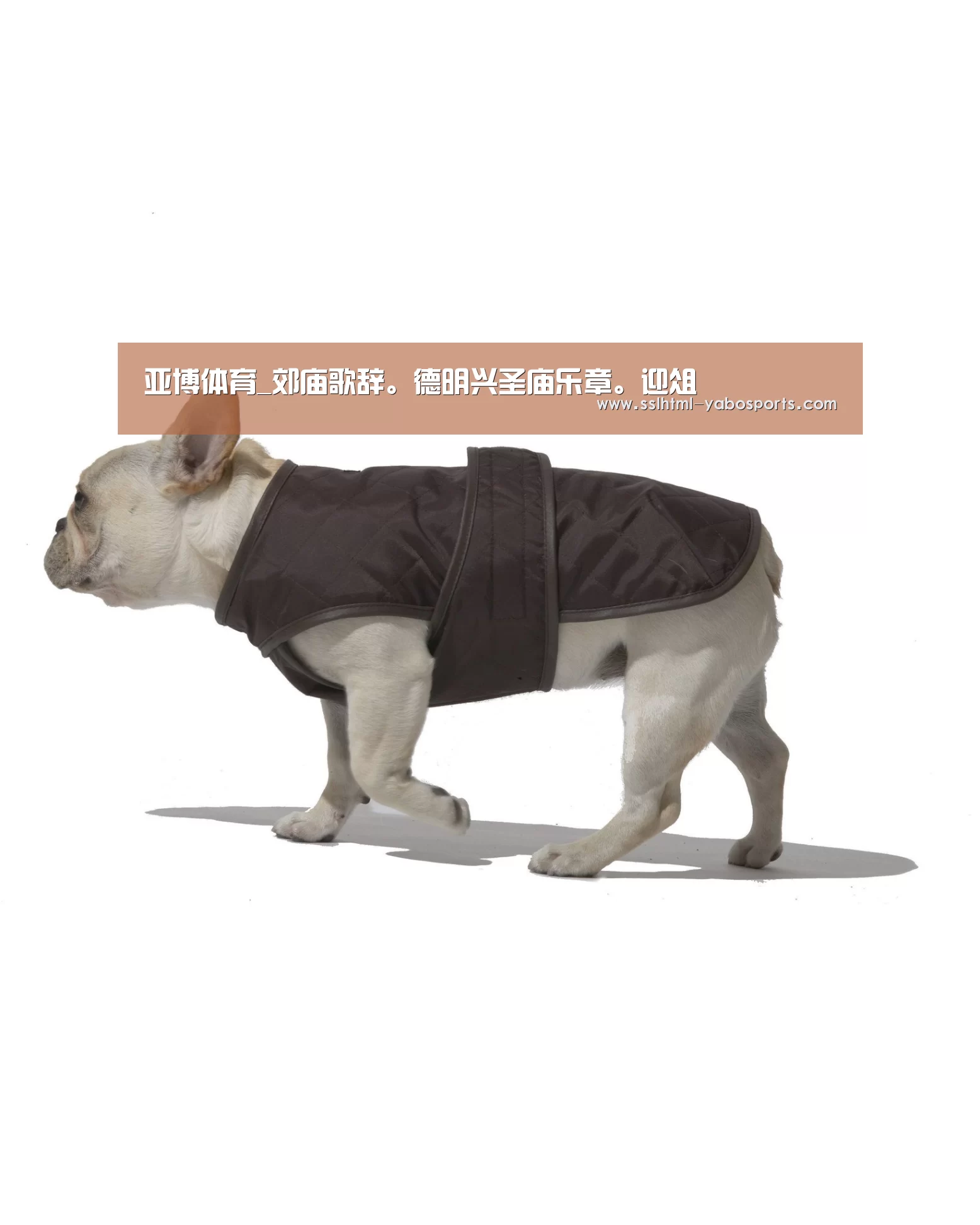 亚博体育_郊庙歌辞。德明兴圣庙乐章。迎俎(图3) 亚博娱乐